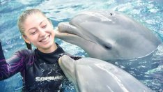 Делфинариумът във Варна връща плуването с делфини