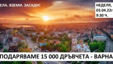 Садят 15 000 дръвчета във Варна. Търсят доброволци 