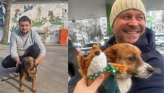 Стойчо и Краставичка от приюта в Каменар са с нови собственици