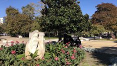 Засаждат нови 50 дървета в централната част на града