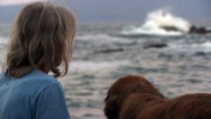 Турист се удави край Поморие