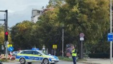 Огромно дърво падна и затапи движението в центъра на Варна