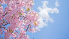 Днес настъпва пролетта, празнуват хората със светлина в името