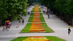 България – малее, че и старее! Загубени: Над 800 хил. българи за 10 г.