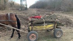 Почти 7000 семейства във Варна ще се отопляват с дърва тази зима