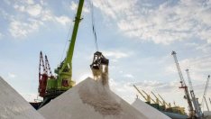 Пазарът на българско зърно замря