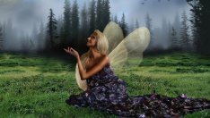 Виц на деня - 17 май