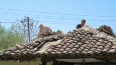 Бум на измамите с ремонт на покриви във Варна