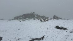 Зимата се завърна в края на май: Сняг вали на Витоша (СНИМКИ)