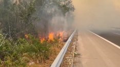 Общината ще следи с дрон опасните точки, където може да се разразят пожари