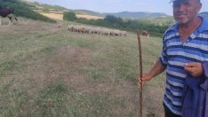 Богат-беден: Пенсионер на село с градинката, а и в града с апартамента?