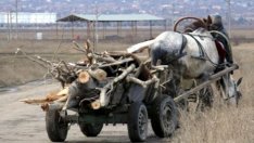 Бракониер би с тояга кметски наместник