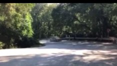 Спешна проверка в автомобилната федерация заради катастрофата във Варна