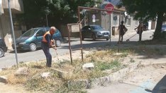 Косенето в центъра на Варна продължава по график