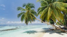 Изоставен остров на Малдивите приютява хора под карантина