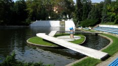 Откраднаха лебедите от български парк