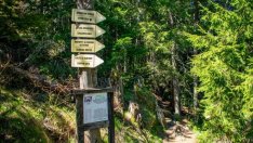 Закопчаха мъжа, заподозрян за жестокото убийството край Смолян