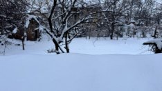 Денят започва с температури от минус 14 до минус 8 градуса