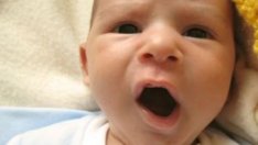 За 25 г. програма "Еразъм" е "родила" един милион бебета