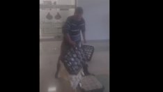 Фермер изсипа вкиснатото си мляко в енергото във Варна (ВИДЕО)