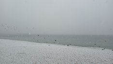 Студен фронт със сняг идва след няколко дни