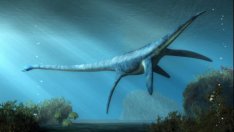 Откриха останки на морско чудовище на 150 млн. години