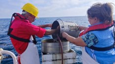 Изследват състоянието на морската среда в Черно море