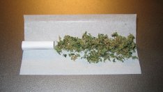 Спипаха четирима варненци с марихуана