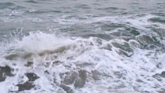 Издирване на брат и сестра в морето спря корабите по Босфора