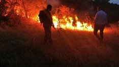 Горяха сухи треви до военната болница в Сливен