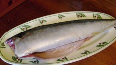 В Созопол правят празник на осолената риба