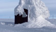 Виц на деня - 5 ноември