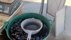 ИАРА хвана нарушители във Варненското езеро