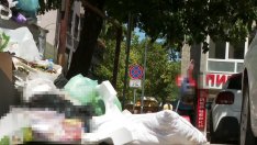 Летен сезон: Контейнерите във Варна преливат с боклуци