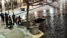 Пияна шофьорка потъна с кола в замръзнал канал и обвини GPS-а си ВИДЕО