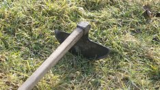 Виц на деня - 17 юли