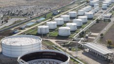  Александър Николов за "Лукойл": Стряскащо е решението за въвеждане на временна забрана на износа