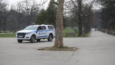 14-годишно украинче спряно в Шумен, кара джипа на тате – криволичейки