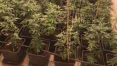 Закопчаха млад германец, гледал трева в „Акчелар“