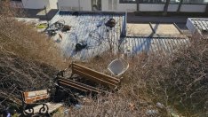 Пейките в Морската градина на Варна станаха обект на поредна вандалщина