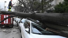 Ураганният вятър отне живот и нанесе сериозни щети в страната