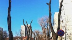 Не паркирайте на ул. "Кестен" във Варна