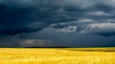 Земеделци се готвят за протест заради забавената "украинска помощ"