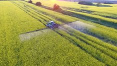 Финансират с по 10 000 евро 10 бизнесдами с идеи в земеделието във Варненско