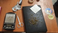 Спипаха бежанец и варненец с дрога