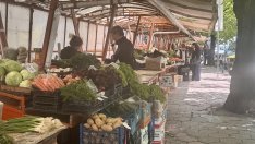 Килограм череши във Варна върви по 30 лева