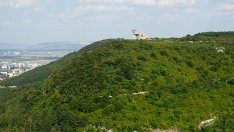 Специалист от зоопарка във Варна ще помага за залавянето на животното в Шумен