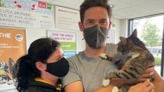 Котка се прибра при стопаните си след 10-годишно странство