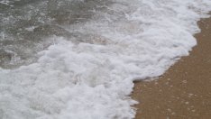 Днес взимат извънредни проби от водата в Кранево и Албена