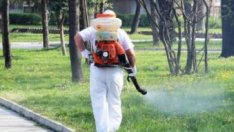 Пръскат срещу комари междублоковите пространства и градинките в „Младост“